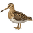 Бекас