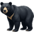 Медведь белогрудый (гималайский)