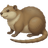 Ондатра