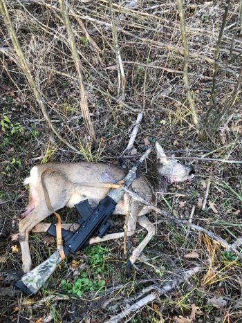 TG2S по гладкой лицензии